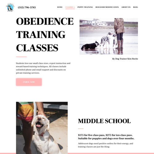 Redesigned website with the title 'Dog trainer website'