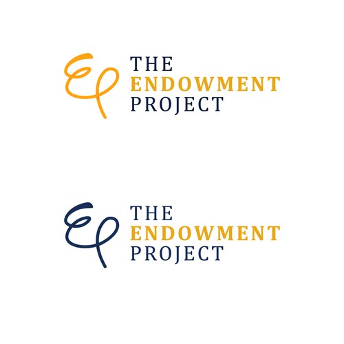 Project management logo with the title 'The Endowment Project '