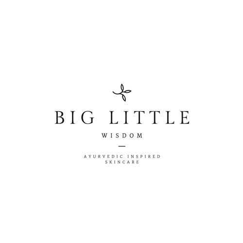 Cosmetics brand with the title 'Proposal for Big Little Wisdom'