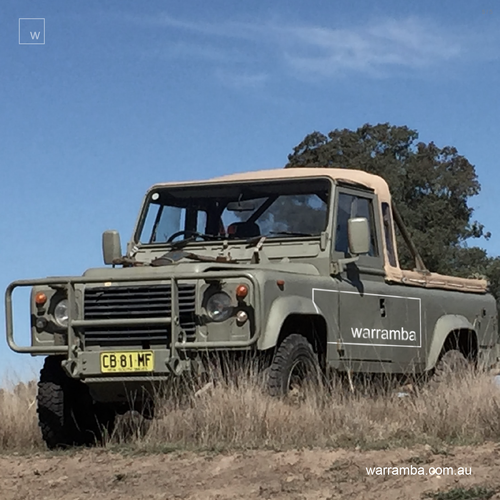 Timeless brand with the title 'Branding an Australian Lodge'