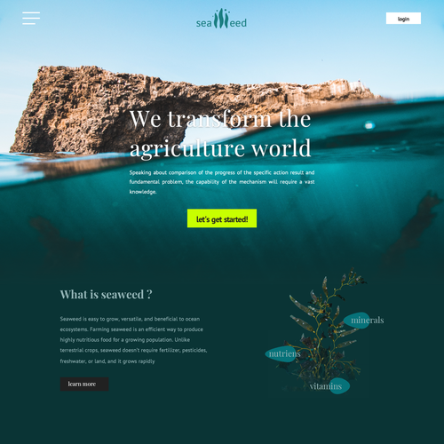 Farm website with the title 'ocean web design'