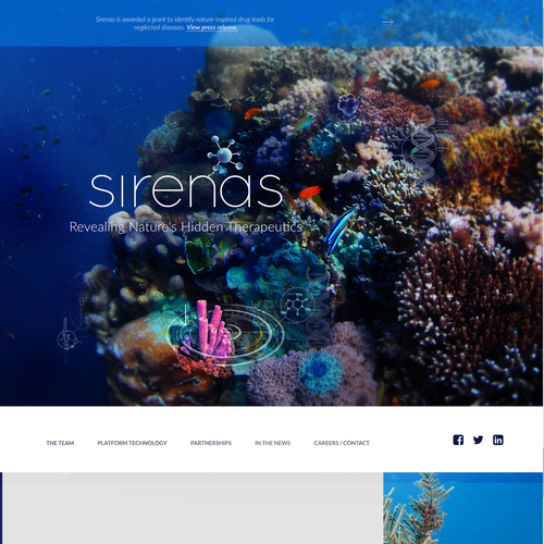 Header design with the title 'Website Header for Sirenas'