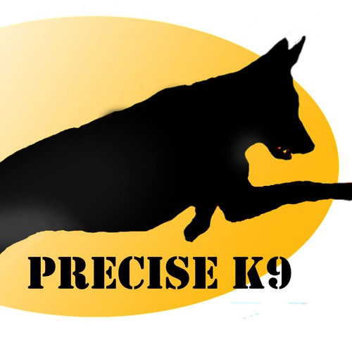 K9 logo with the title 'Logo Design'