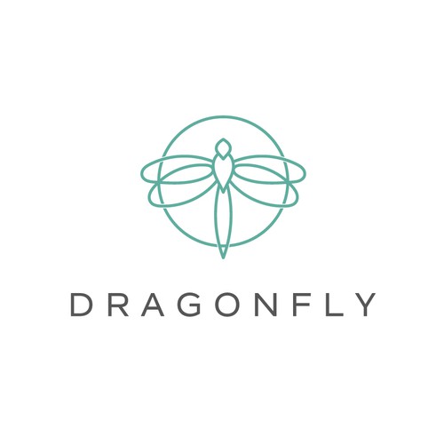 Dragonfly design with the title 'dragonfly '