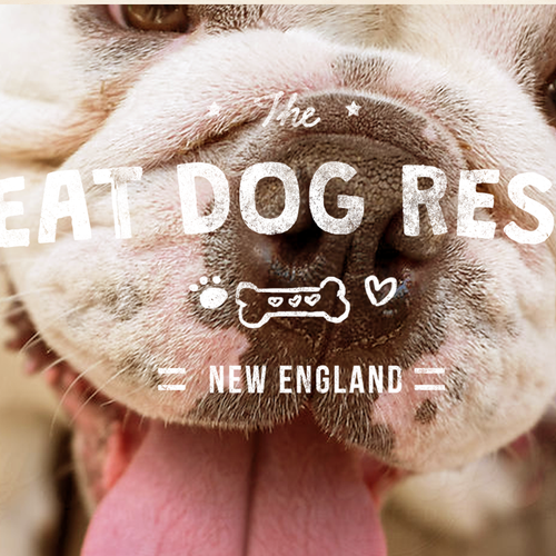 Dog design with the title 'Great Dog Rescue New England'