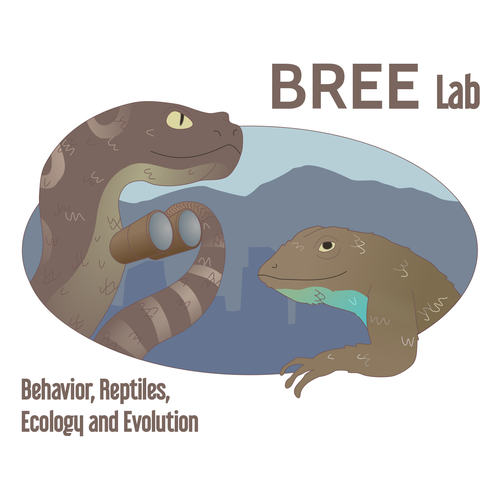 Snake illustration with the title 'Reptile illustration'