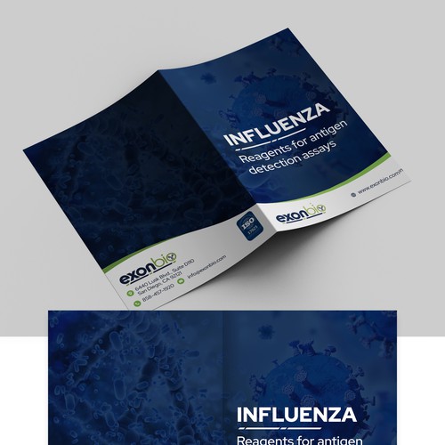 Document design with the title 'Exonbio Brochure Design'