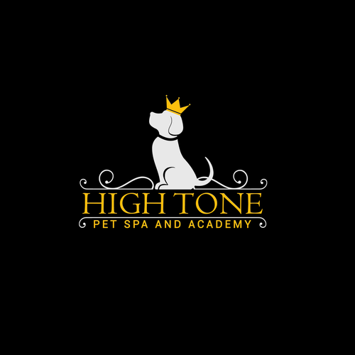 Academy logo with the title 'logo'