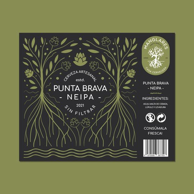Punta Brava Beer