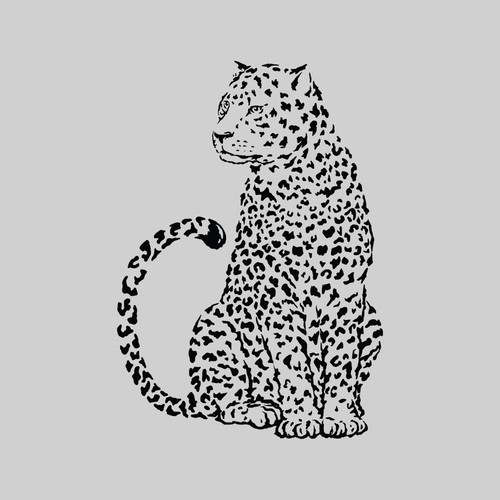 Leopard design with the title 'Leopard'