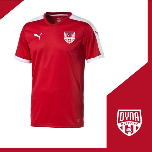 Spain national team logo with the title 'logo for football club DYNA morefire'