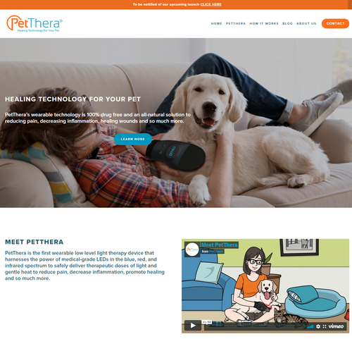 SEO design with the title 'PetThera'