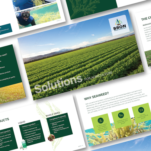 Seaweed design with the title 'Pitch deck for agriculture business'