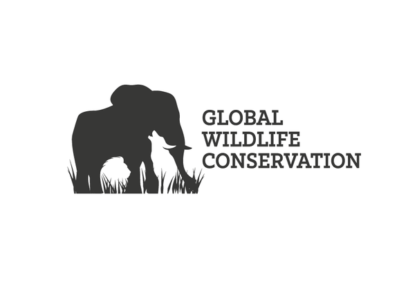 Safari design with the title 'Wildlife logo'