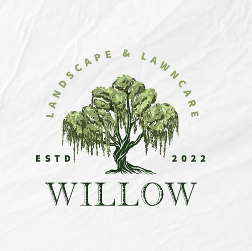 Trunk design with the title 'Willow Logo design'
