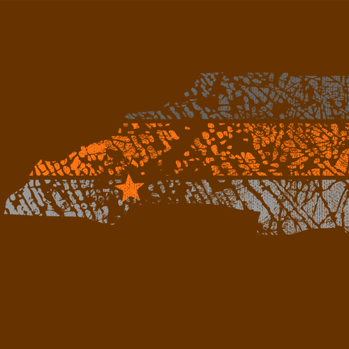 Distressed t-shirt with the title 'NC outdoor'