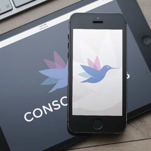 Relaxation logo with the title 'Conscious Hub'