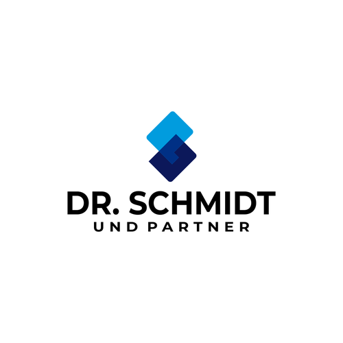 Paddle board logo with the title 'Dr. Schmidt und Partner'