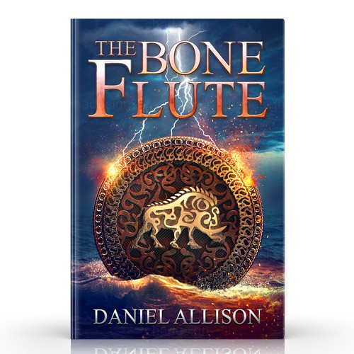 Viking book cover with the title 'Young Adult fantasy novel'