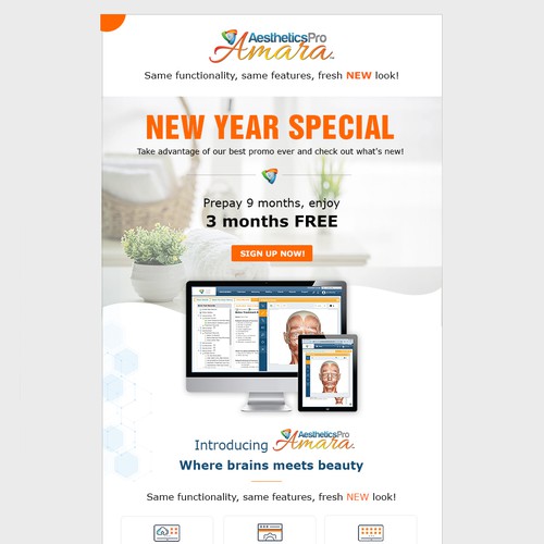 Newsletter design with the title '1-1 Project - Email design for AestheticsPro Online '
