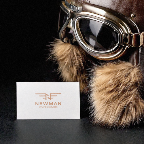 Aircraft logo with the title 'Newman Aviation Services Logo'