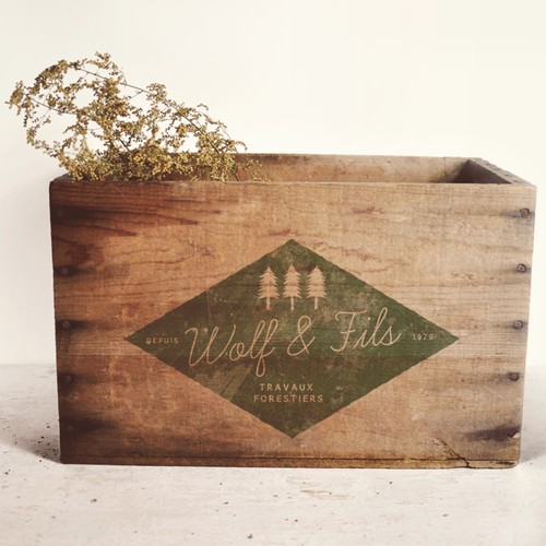 Woods design with the title 'creation d'un logo'