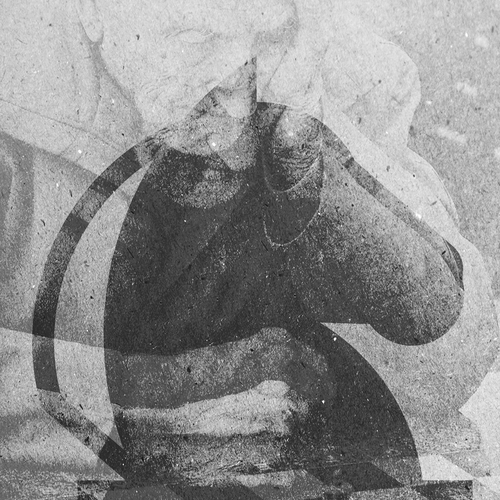 Thinking design with the title 'DarkHorse'