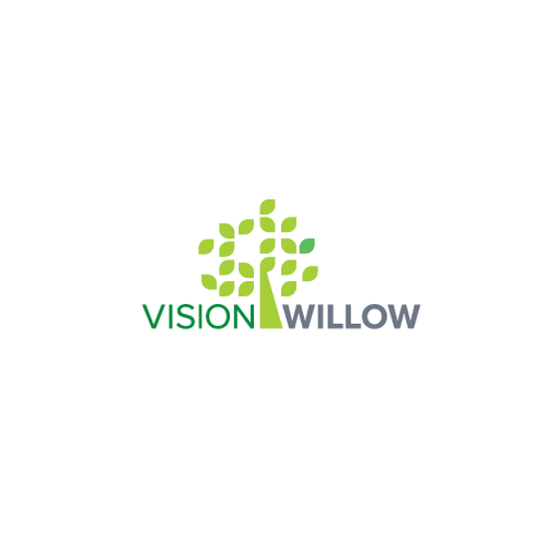 Vision design with the title 'Vision Willow'