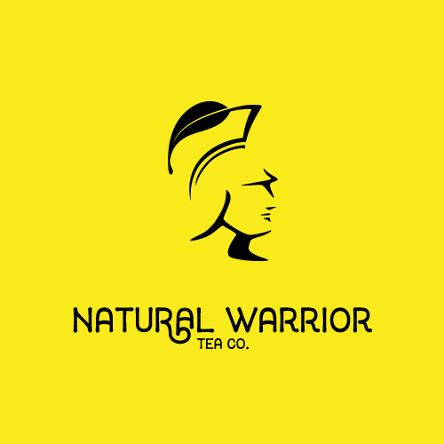 Warrior Logos The Best Warrior Logo Images 99designs
