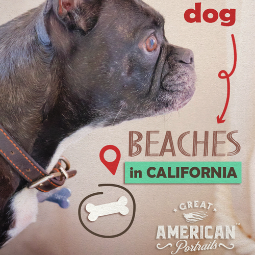 Photo editing design with the title 'Dog Friendly Postcard '