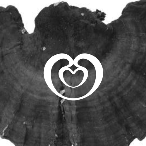 Mushroom logo with the title 'Reishi line drawing logo for a superfood mushroom brand'