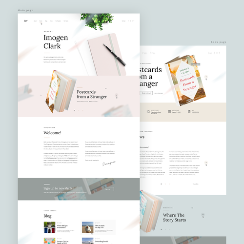Book website with the title 'Сconcept of the personal page of the writer'