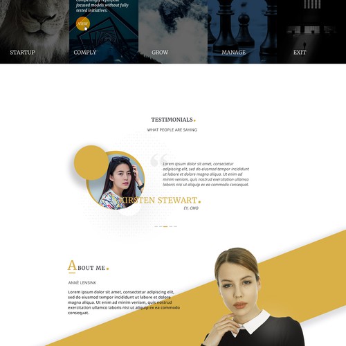 Accounting website with the title 'Home page concept'