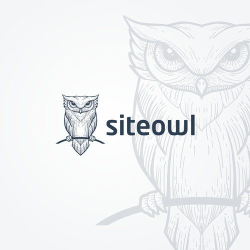 Site design with the title 'siteowl concept logo'