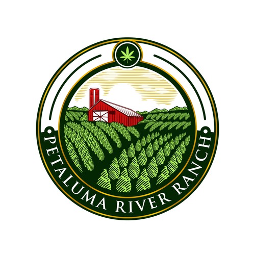 Green artwork with the title 'Graphic design concept for contest farm CBD topical'