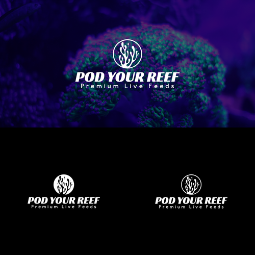 Coral design with the title 'Winning logo in the contest "Pod Your Reef vibrant and modern logo for the aquarium hobby!"'