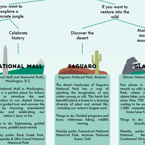 Flowchart design with the title 'National Parks Infographic'