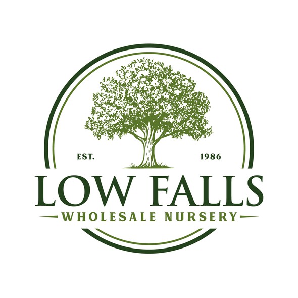 Oak tree design with the title 'Low Falls Wholesale Nursery'