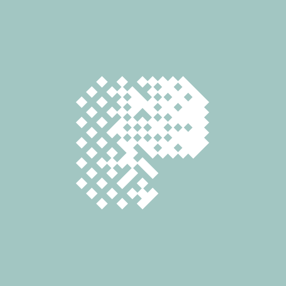 Data logo with the title 'P + pixel '