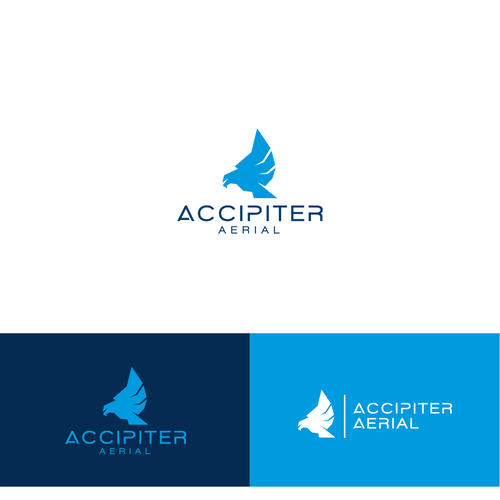 Hawk logo with the title 'Create a logo for drone imaging company'