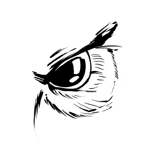 Expressive design with the title 'Owl Eye Illustration'