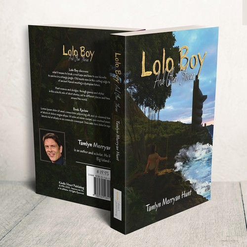 Beach book cover with the title 'Book illustration for lolo boy storys'