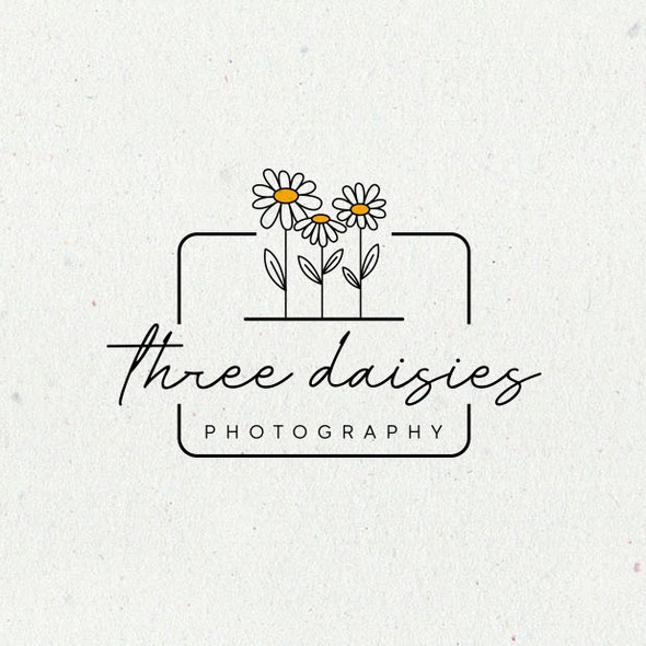 Daisy logo with the title 'Logo design for photography company'