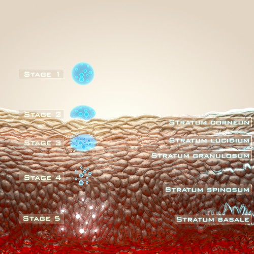 Medical artwork with the title 'Skincare Delivery'