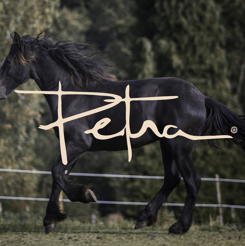 Horse brand with the title 'Logo'