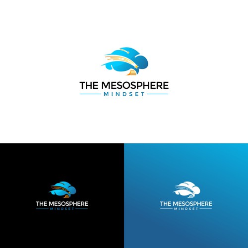 Mindset logo with the title 'The Mesosphere Mindset'