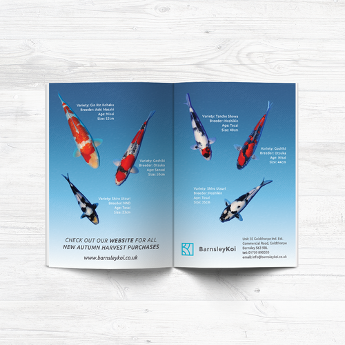 Koi design with the title 'DPS Advert'
