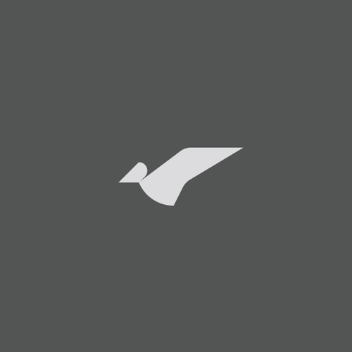 Fly logo with the title 'Brandmark-NR0192'