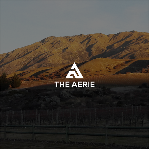 Corporate identity logo with the title 'the aerie company'