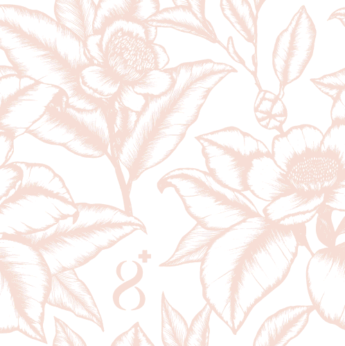 Fun packaging with the title 'Apothecary, Clean and Healthy Brand'